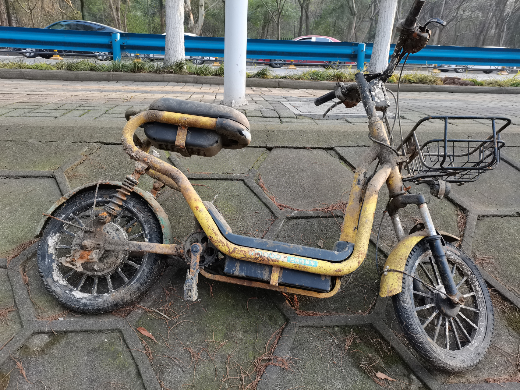 好好的一辆电动单车,变成了破坏风景,伤害环境的垃圾