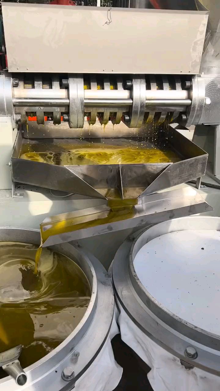 150型螺旋榨油机生榨菜籽油效果