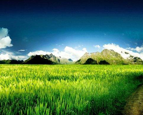 《祝英台遇到马文才by问鹿》po小说全文免费阅读