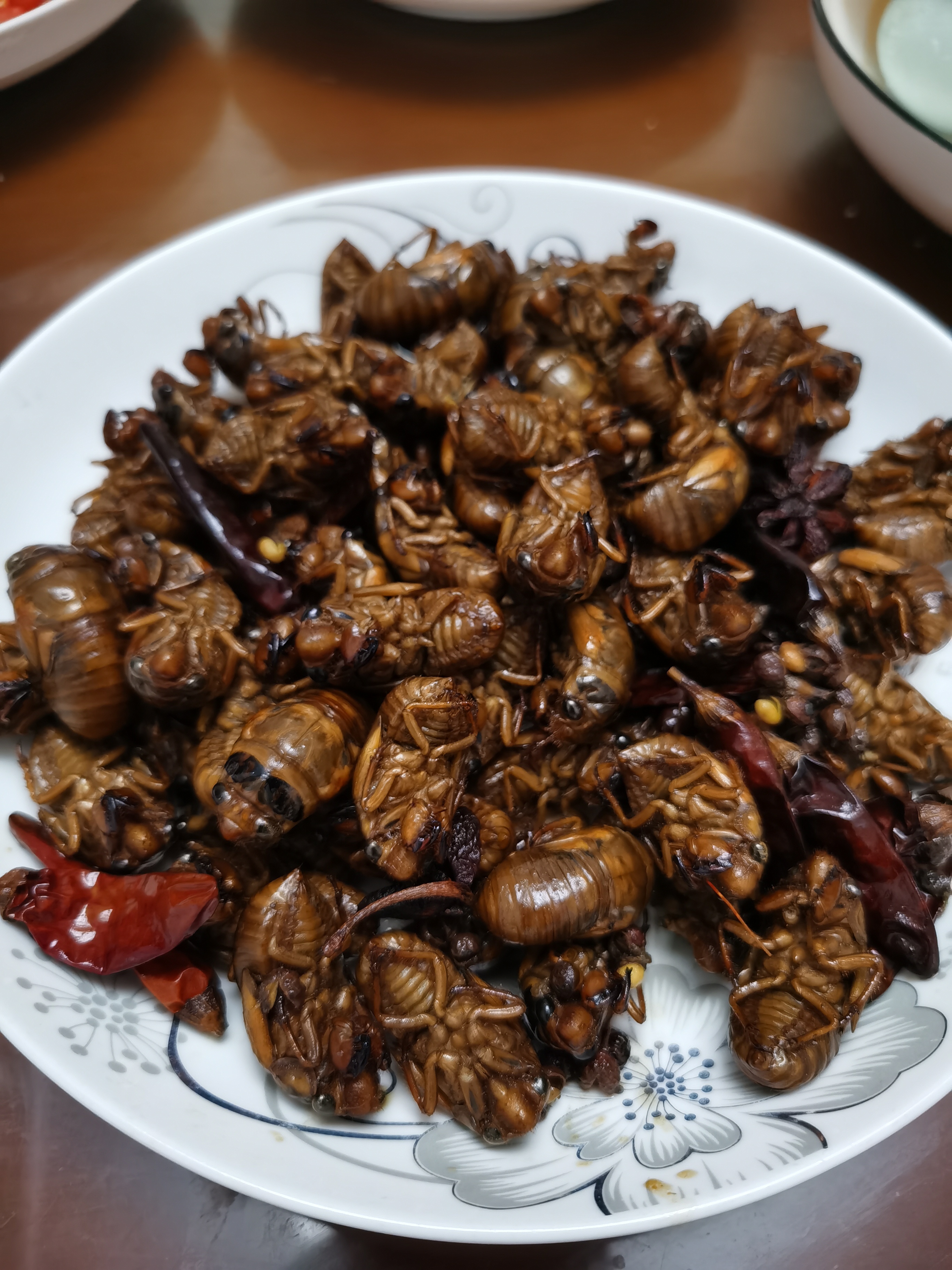 炒盘金蝉吃吃