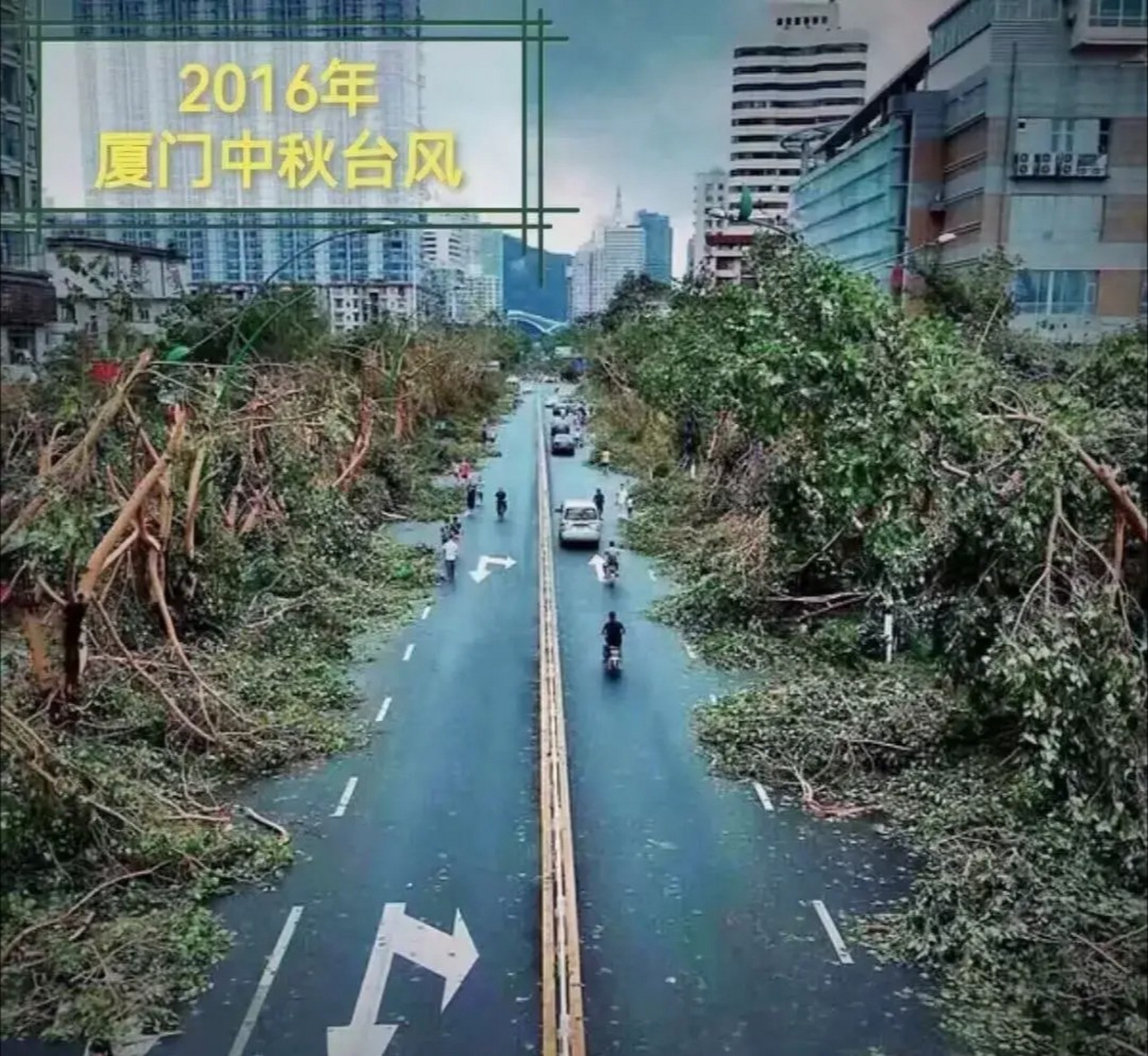 带你回忆下16年的莫兰蒂: 很多人嘲笑厦门人在台风来临前的囤货行为