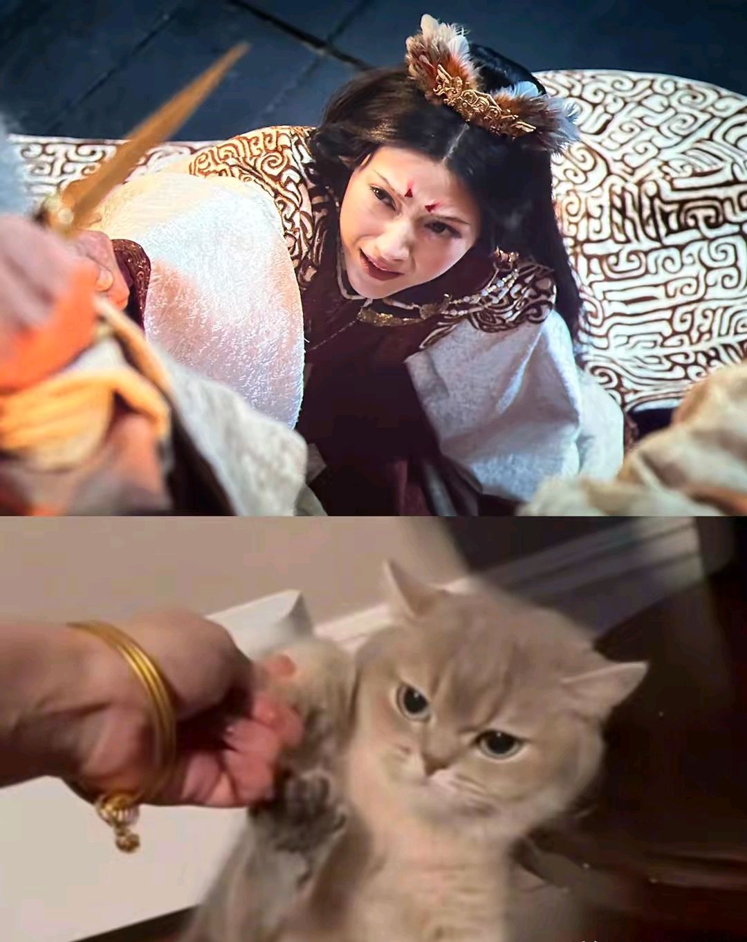 "狐妖逆袭!妲己娜然:演技与魅力双双绽放"