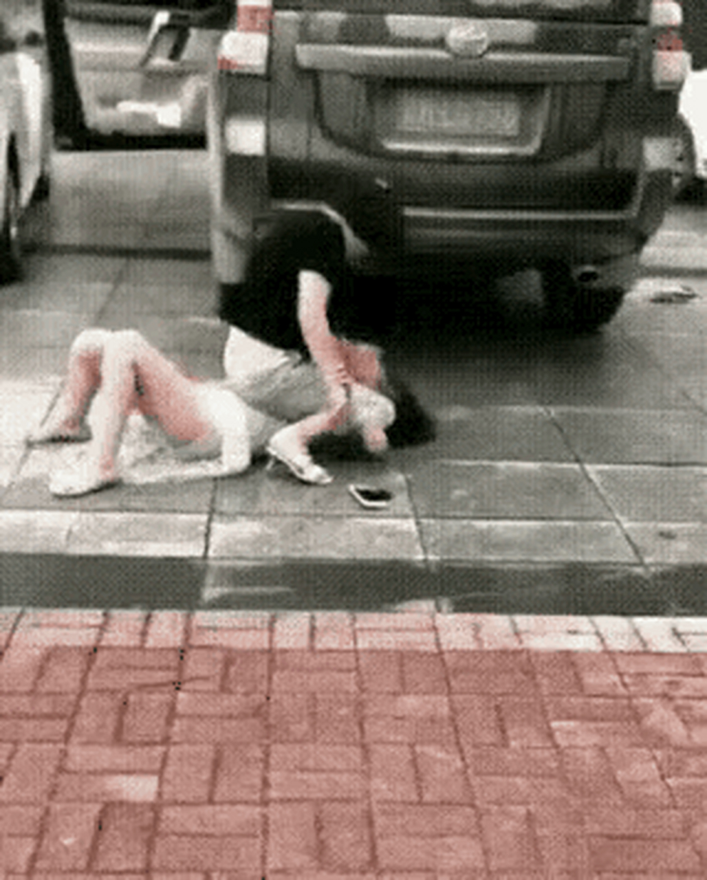 辽宁两女子打架图片