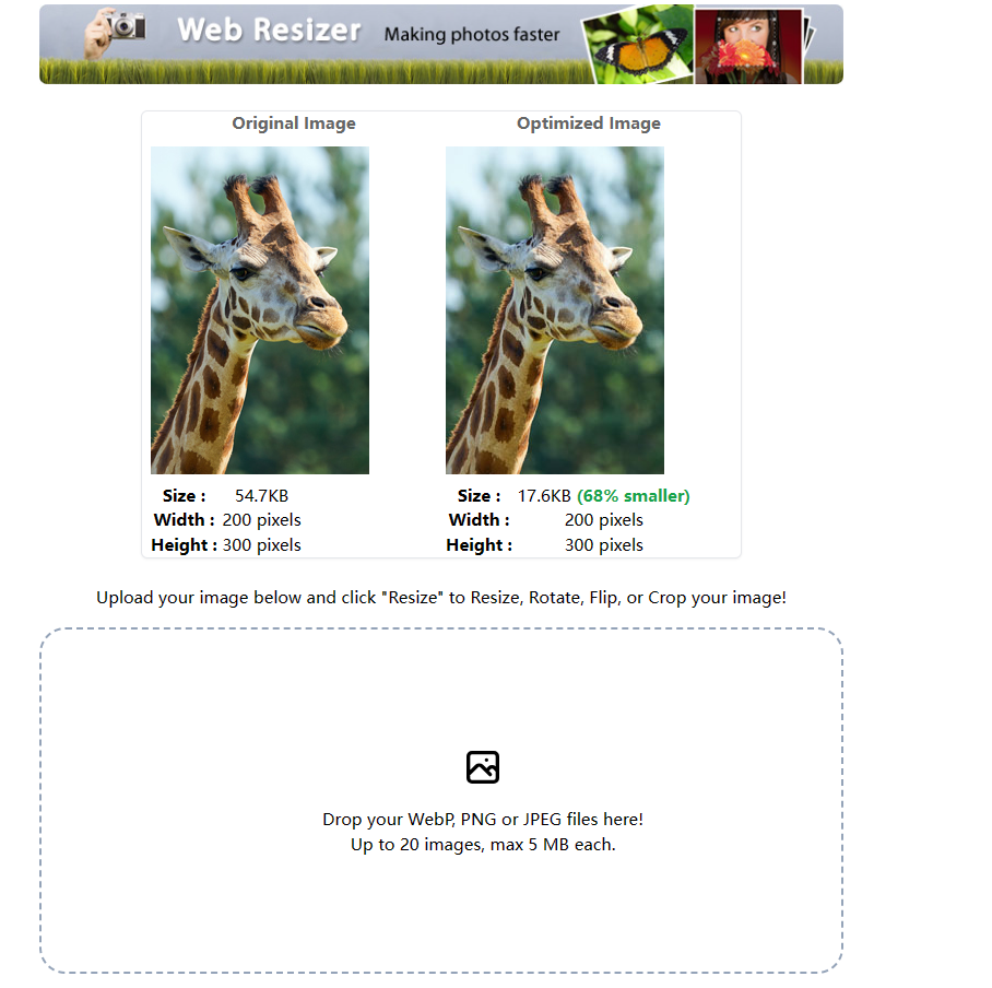 最佳的8个免费在线无损图片压缩网站