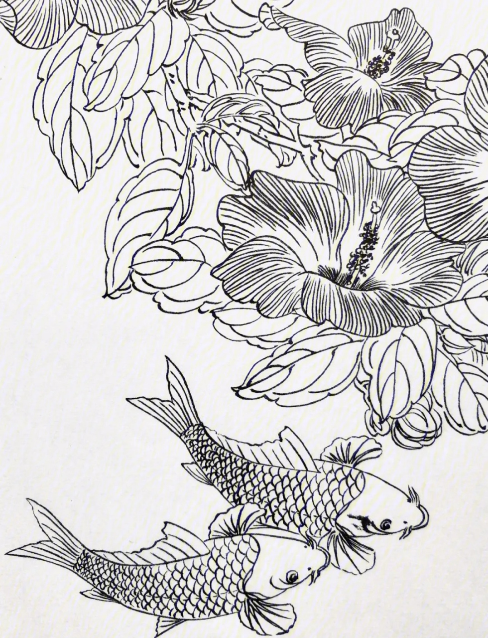 【白描国画锦鲤作品练习参考素材】