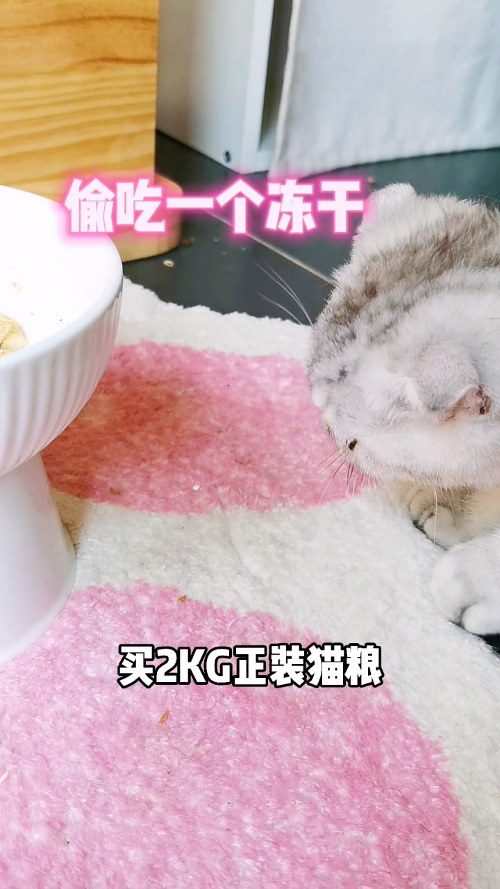 阿飞和巴弟猫粮 阿飞和巴弟猫粮e76系列.