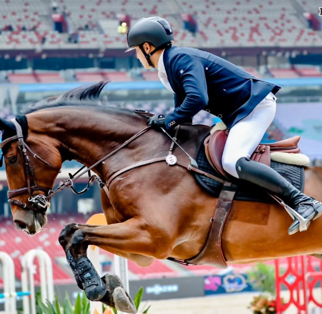 朱珠老公在鸟巢参加马术比赛,女儿到场为爸爸助阵加油.