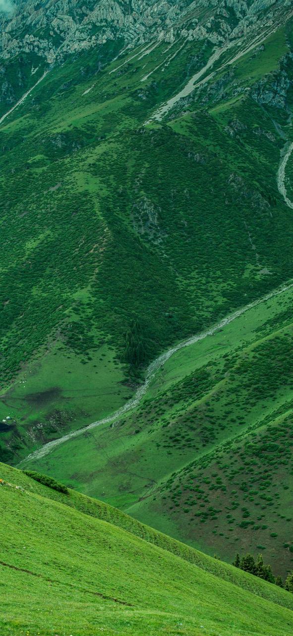 纯绿色唯美风景壁纸!#风景# #壁纸# #冬天的第一张照片