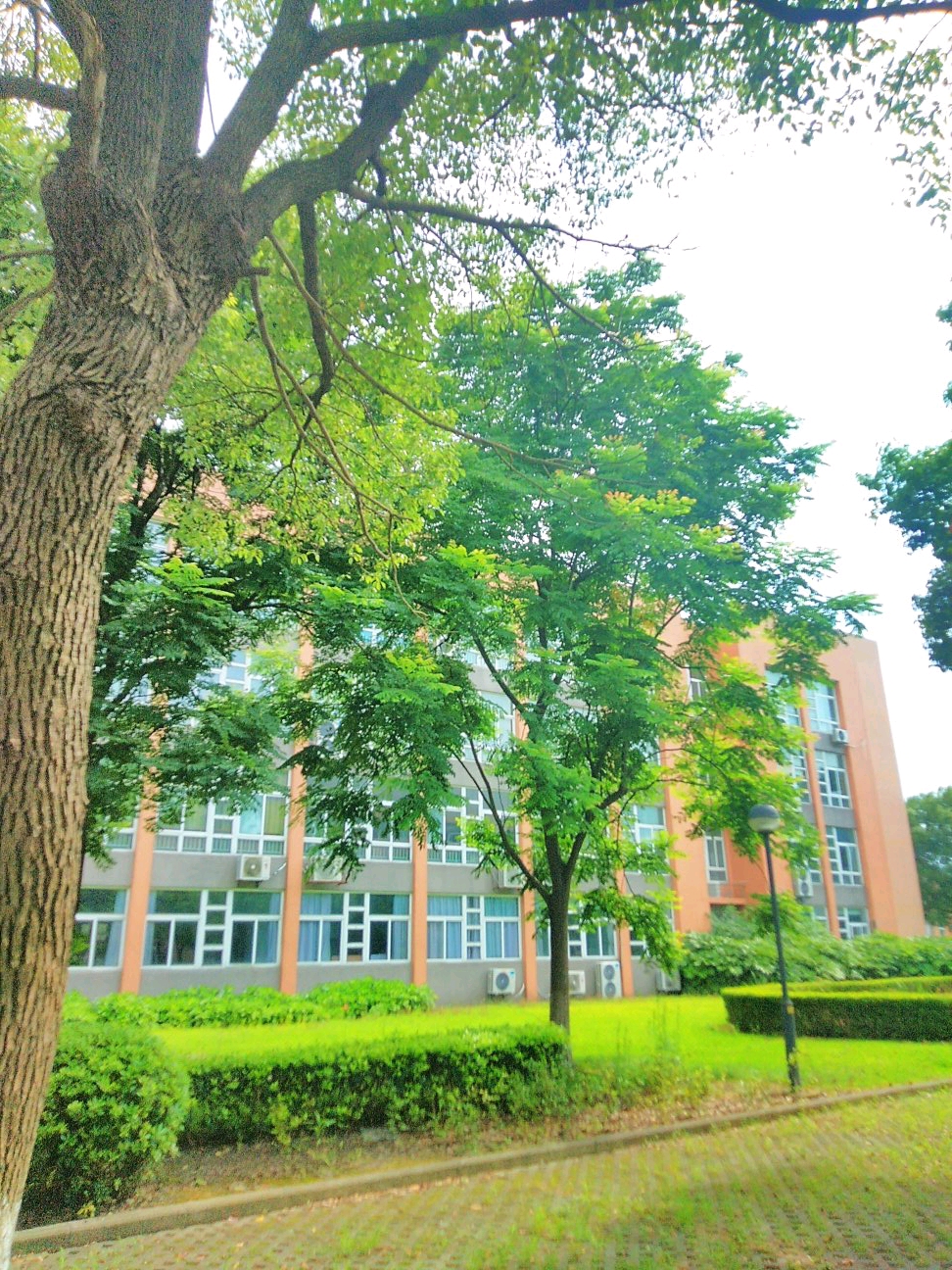 平湖师范学院内景