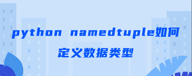 python namedtuple如何定义数据类型