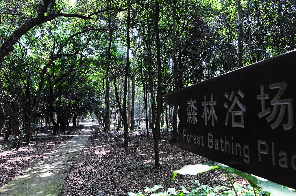 「杂」你不知道的外国冷门文化——"芬兰"森林浴