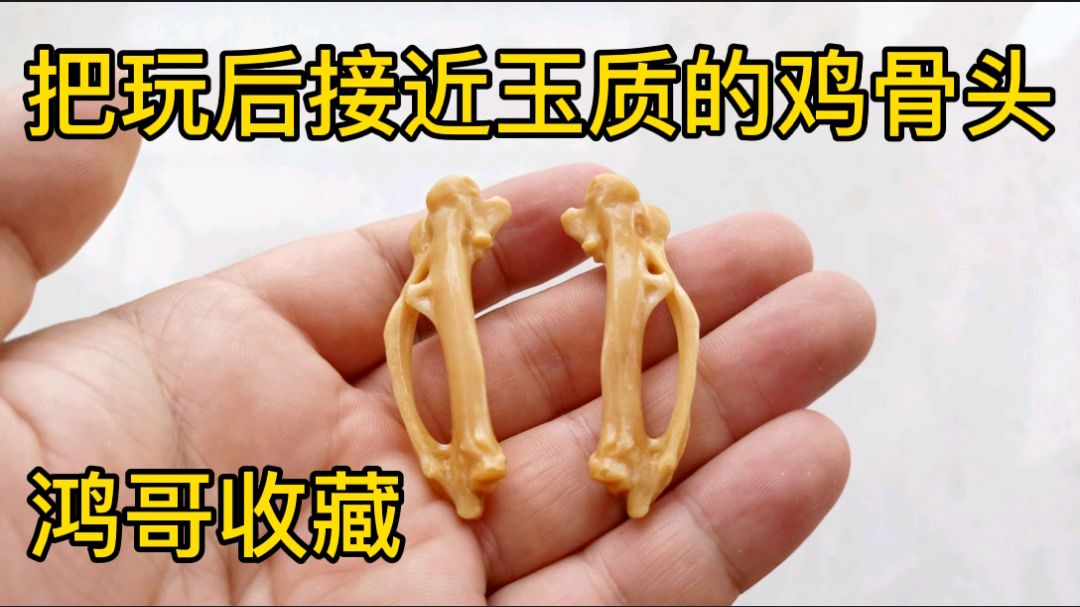 天津鸿哥收藏了十二年的鸡骨头,经过把玩,包浆如玉,敲击如石