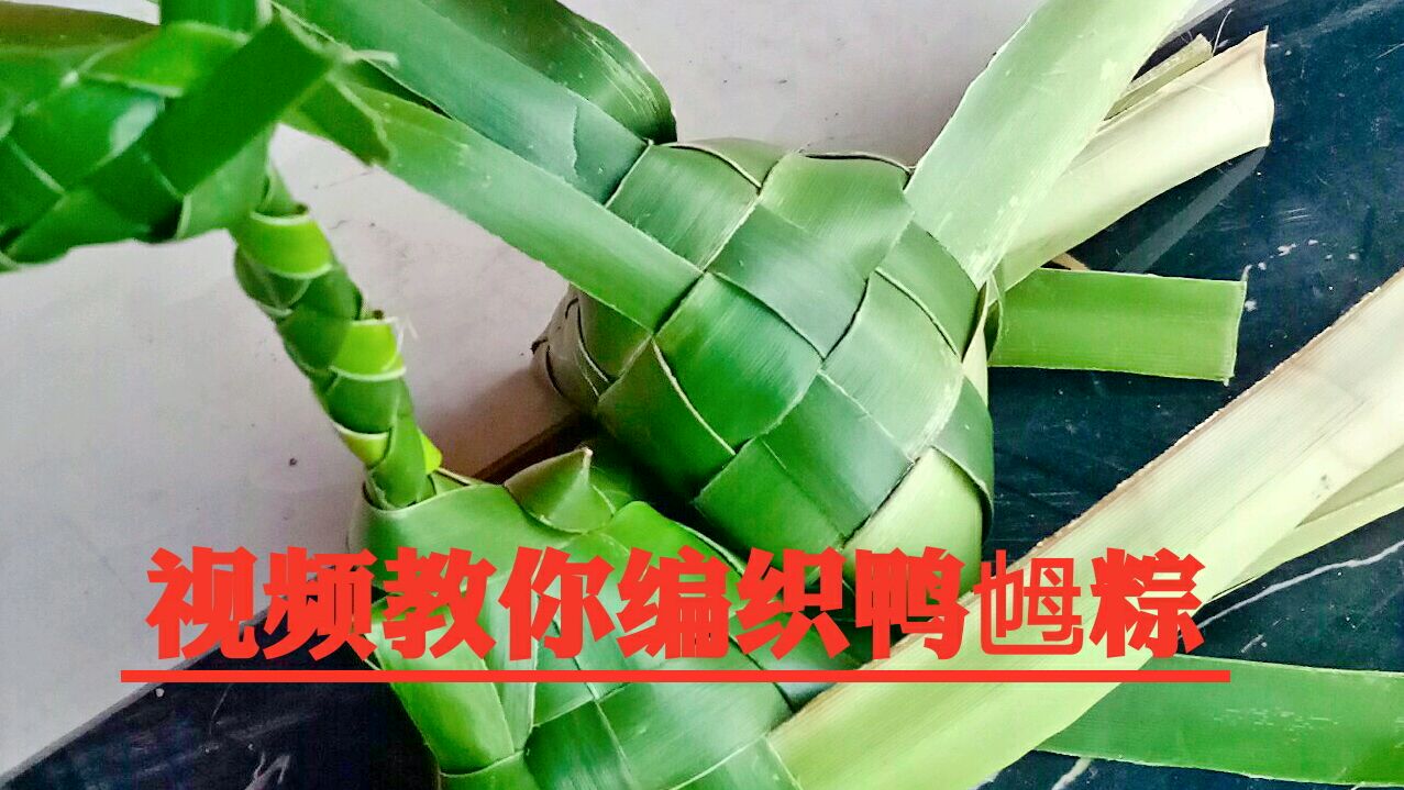 端午节湛江小伙的用视频教你编织鸭乸粽