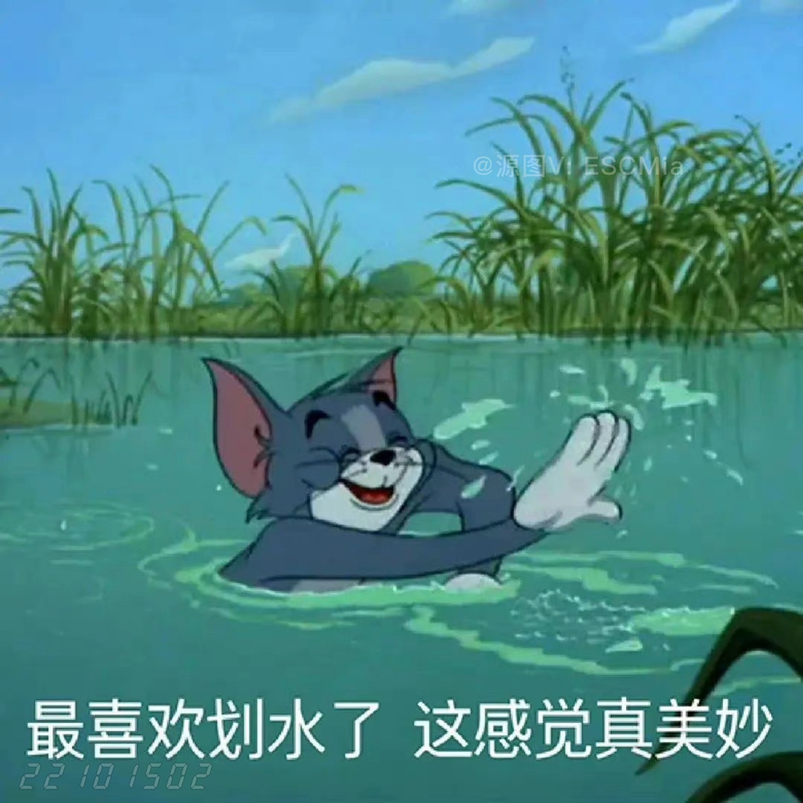 回味童年,分享一组美美的猫和老鼠表情包
