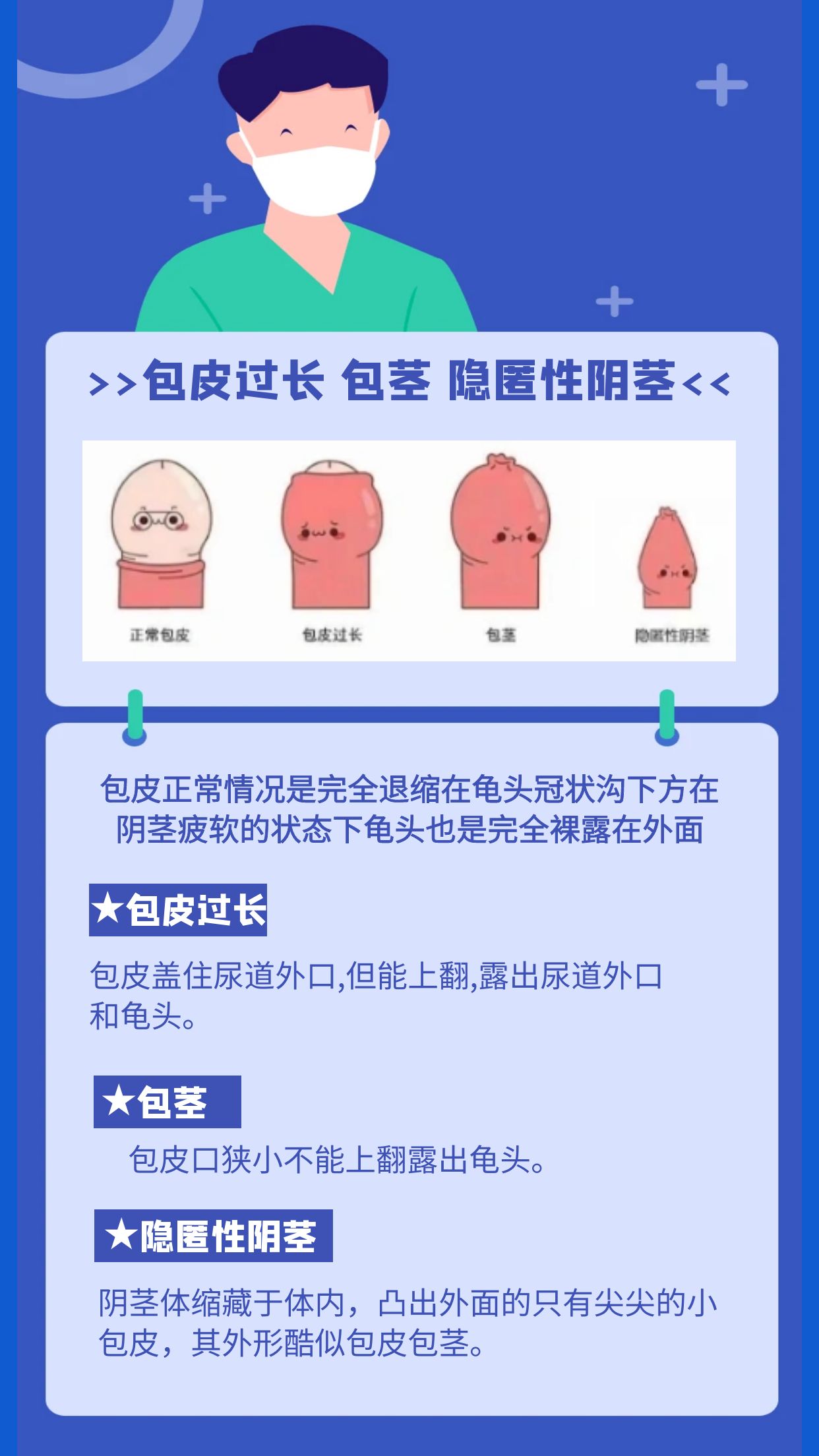 包皮过长 包茎 隐匿性阴都是什么?