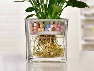 铃兰花要怎么水培