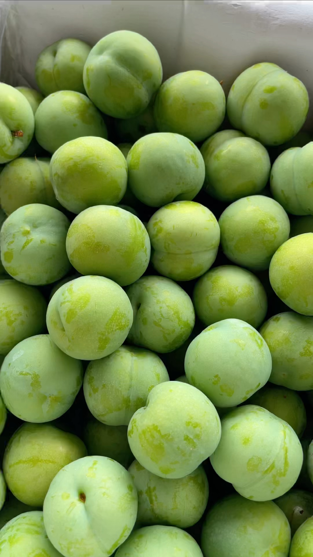 贵州六马的四月李个头非常不错的就是味道有点酸