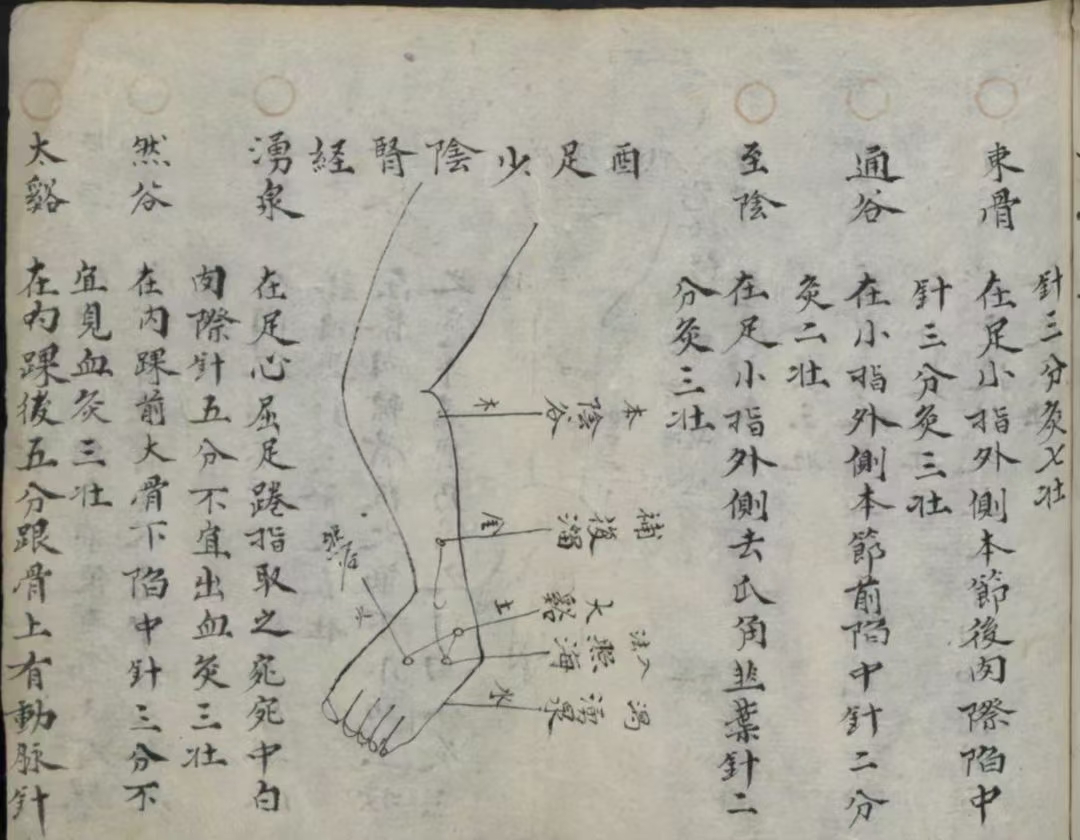 《十三鬼穴》鬼门十三针,清代手抄本,共65面