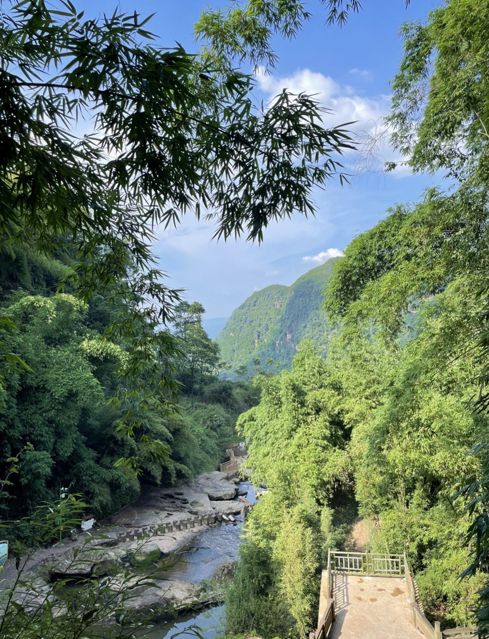 宜宾蜀南竹海,位于四川省宜宾市长宁县,是一个以竹海景观为主要特色的