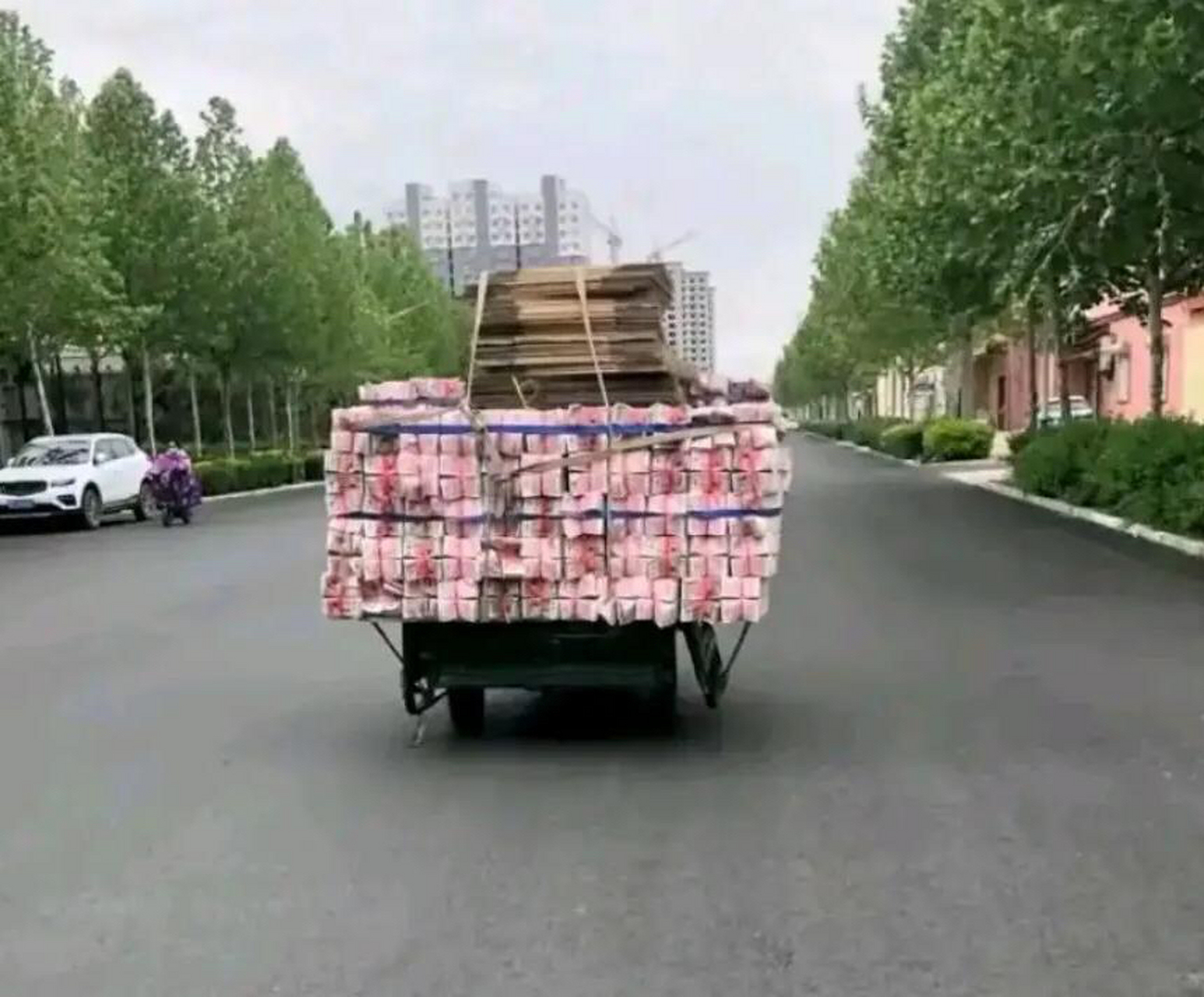 我也想低调,但实力不允许啊