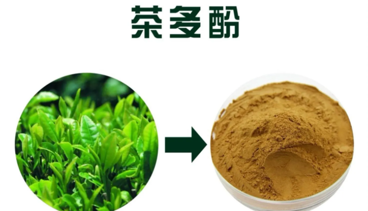 茶叶提取物对皮肤的作用