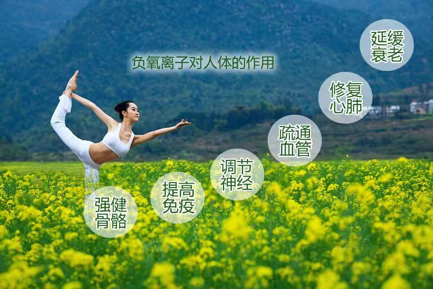 生态级负氧离子对身体的重要性有哪些?