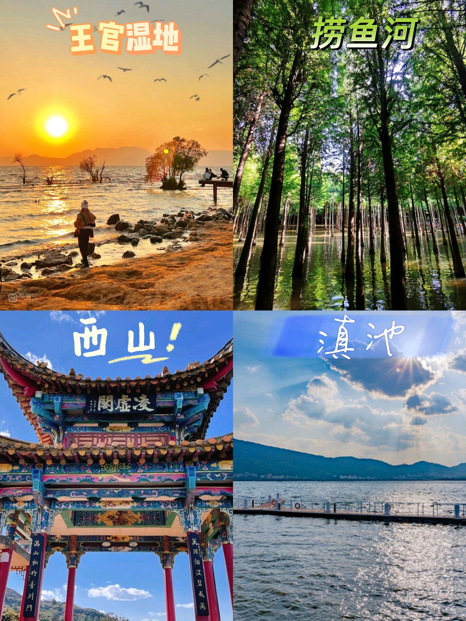 《昆明,花城之旅》