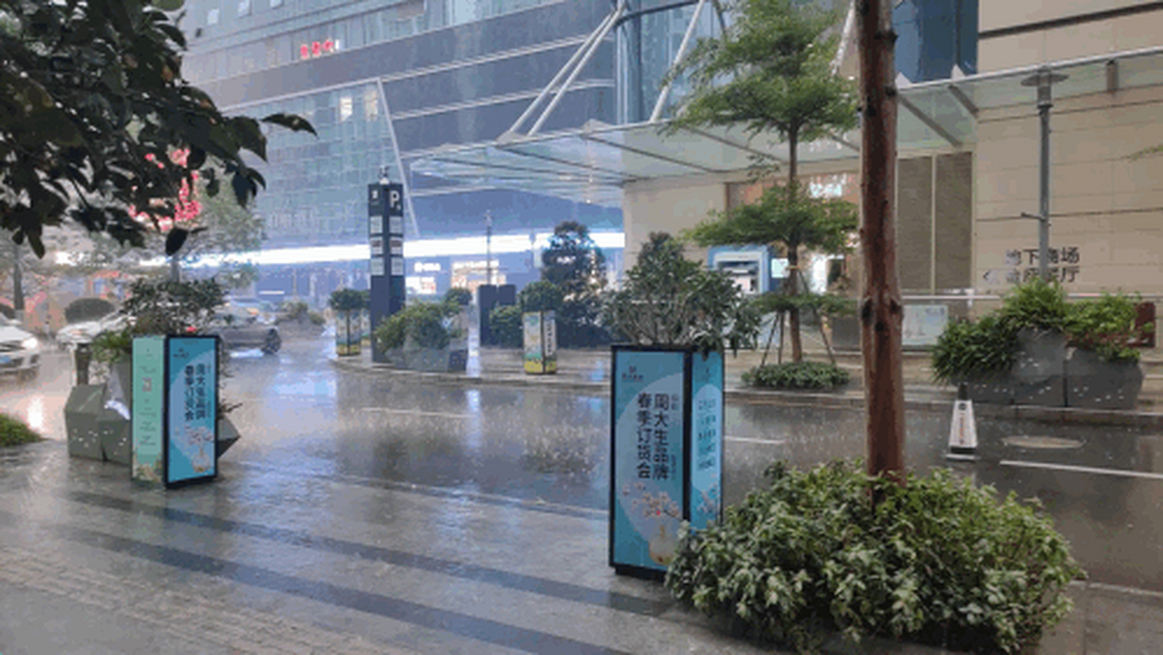 深圳久違的春雨來了,好涼爽,一聲春雷過後,神清氣爽.