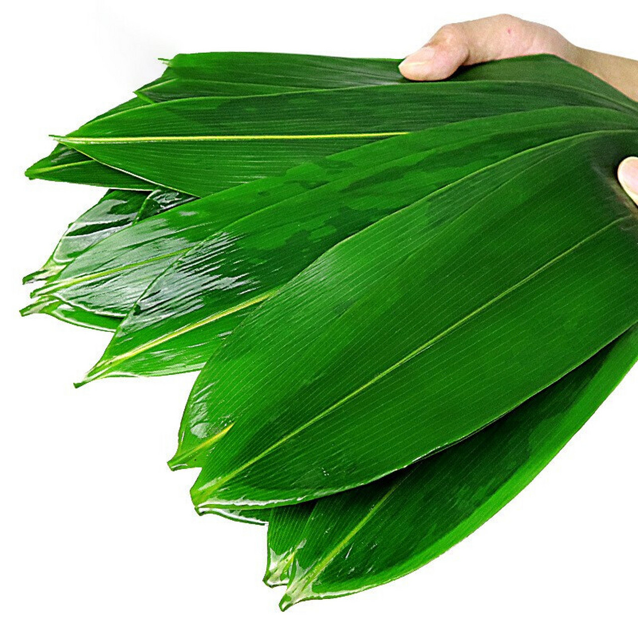 不懂就问:粽叶10块钱一斤正常吗?