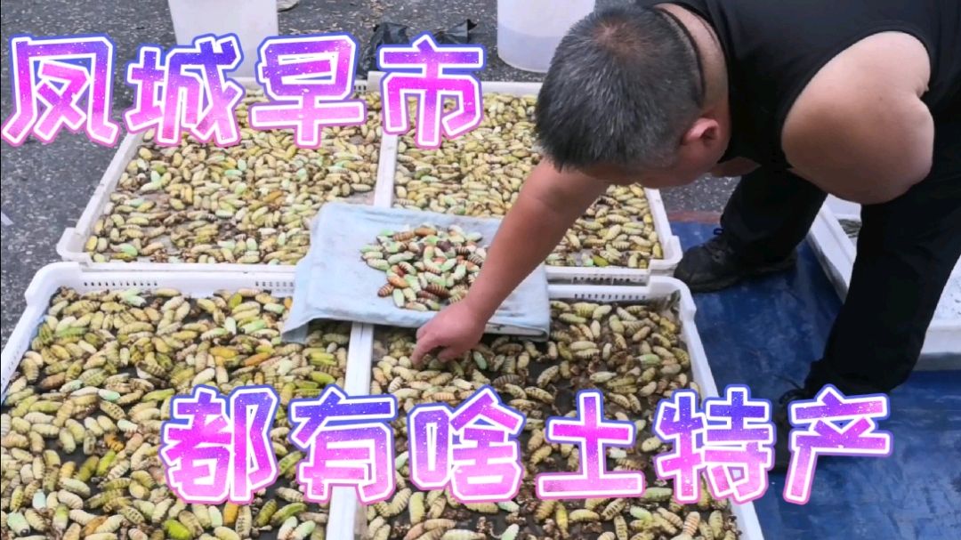 沈阳老哥回凤城老家,早市实拍:这些土特产你都吃过么?都啥价?