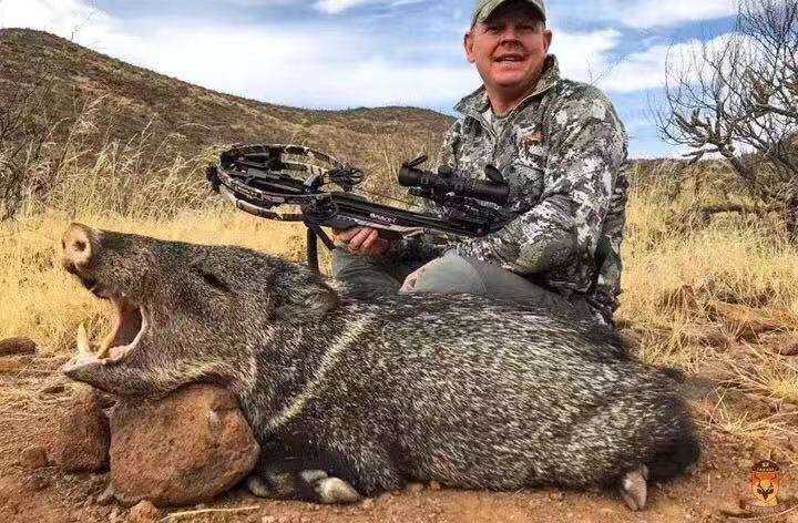 "欢迎来到"非洲野猪狩猎场