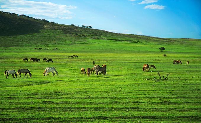 灿谷金服客服人员电话24小时还款服务