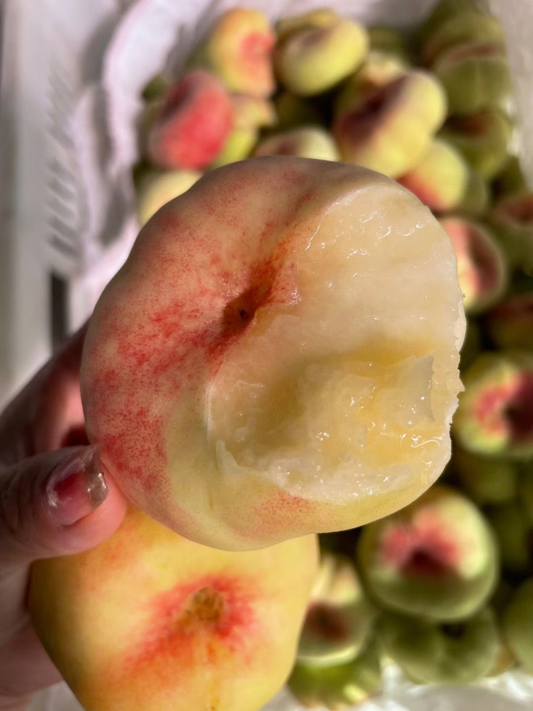 陕西大荔毛蟠桃最后一天接单了,明天下架再想吃就得等明年了