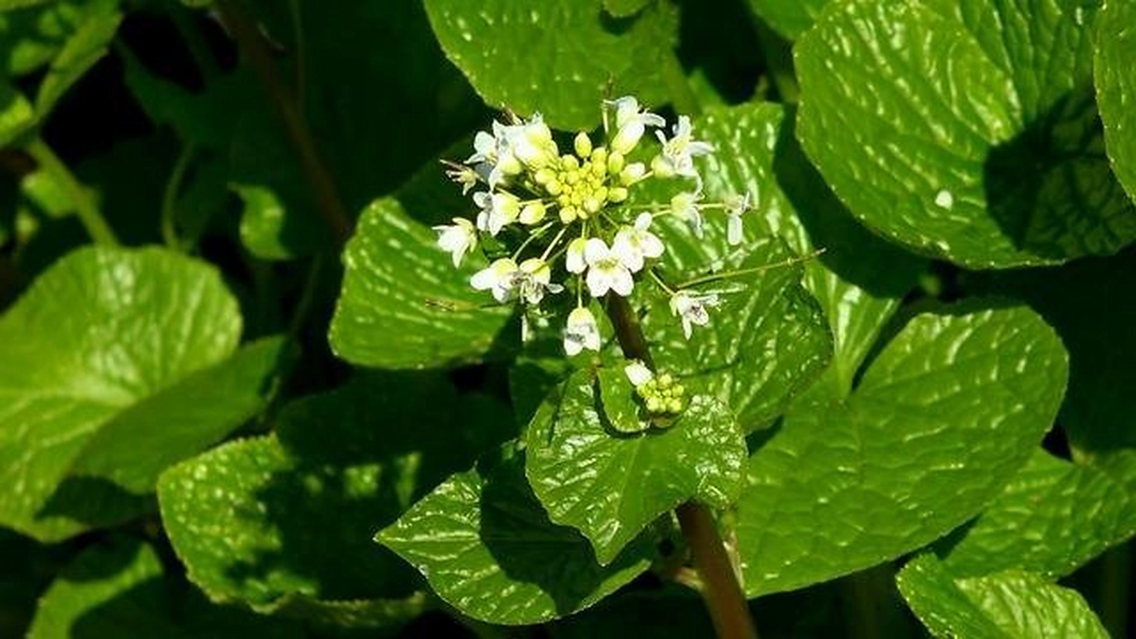 生活中每一件小事都要做到有始有终;比如每天要起床吃早餐,起床之后