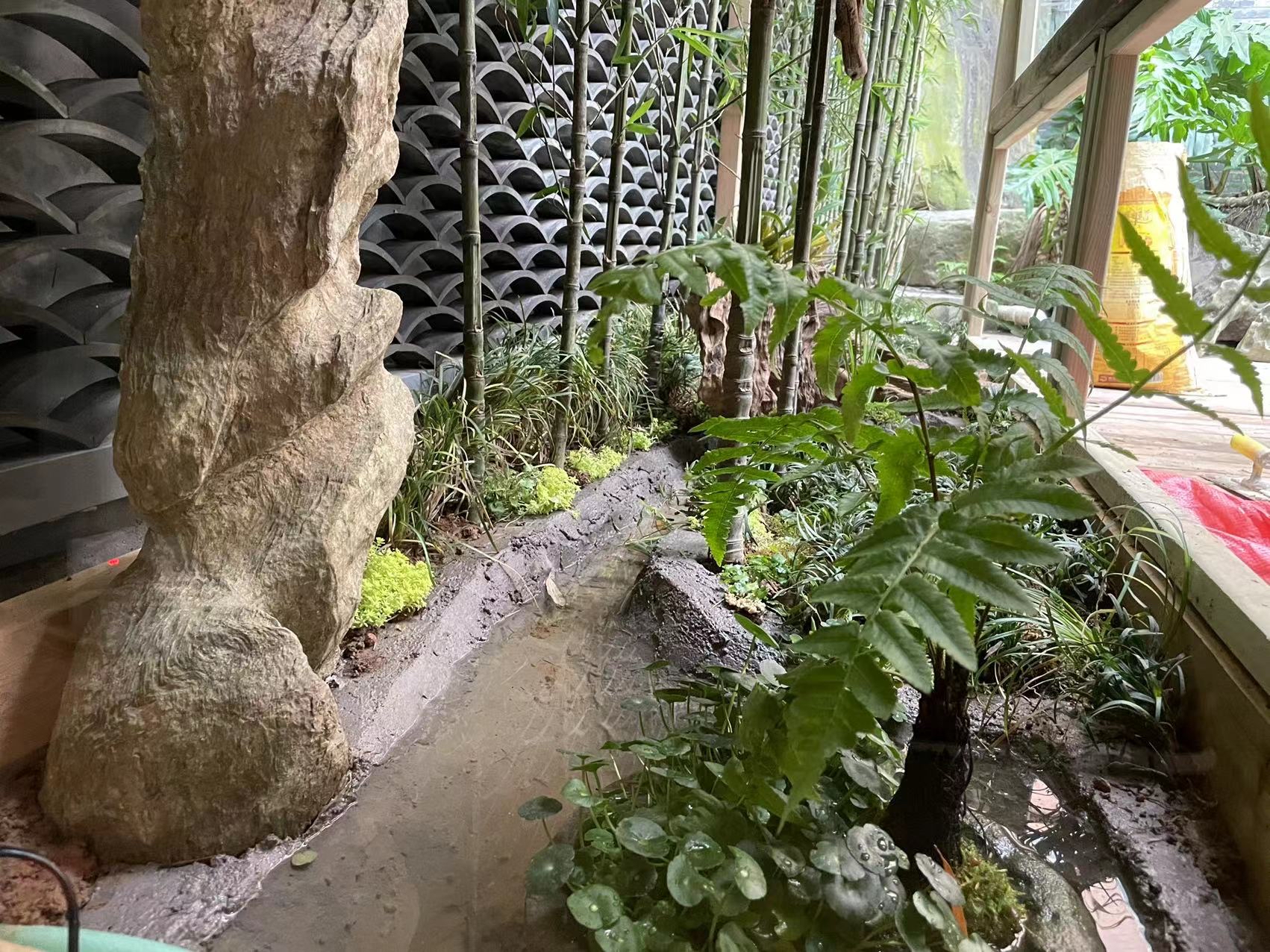 土豪网友做的原生态鸟笼!森林级别生态环境,原生态养鸟的乐趣!