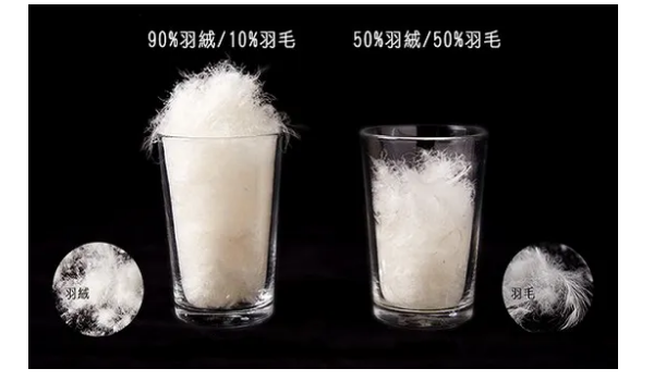 羽绒服50绒和90绒区别