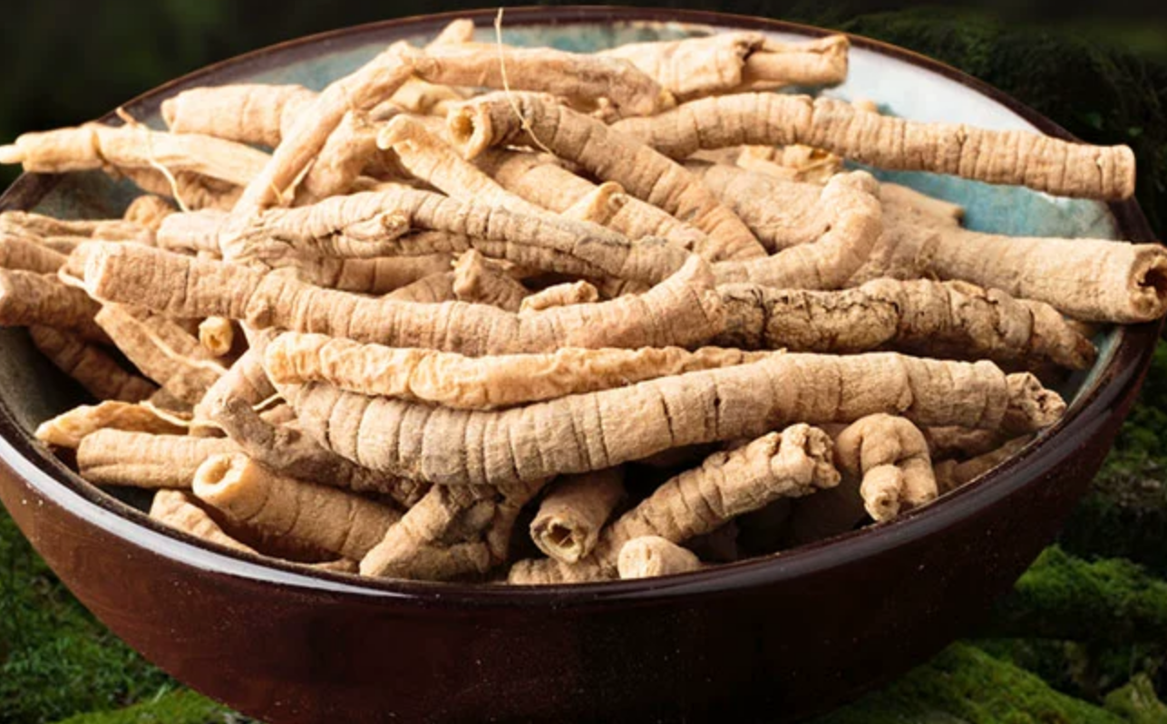 在中药理论中,远志被归为辛,温之性味,具有多种养生功效.