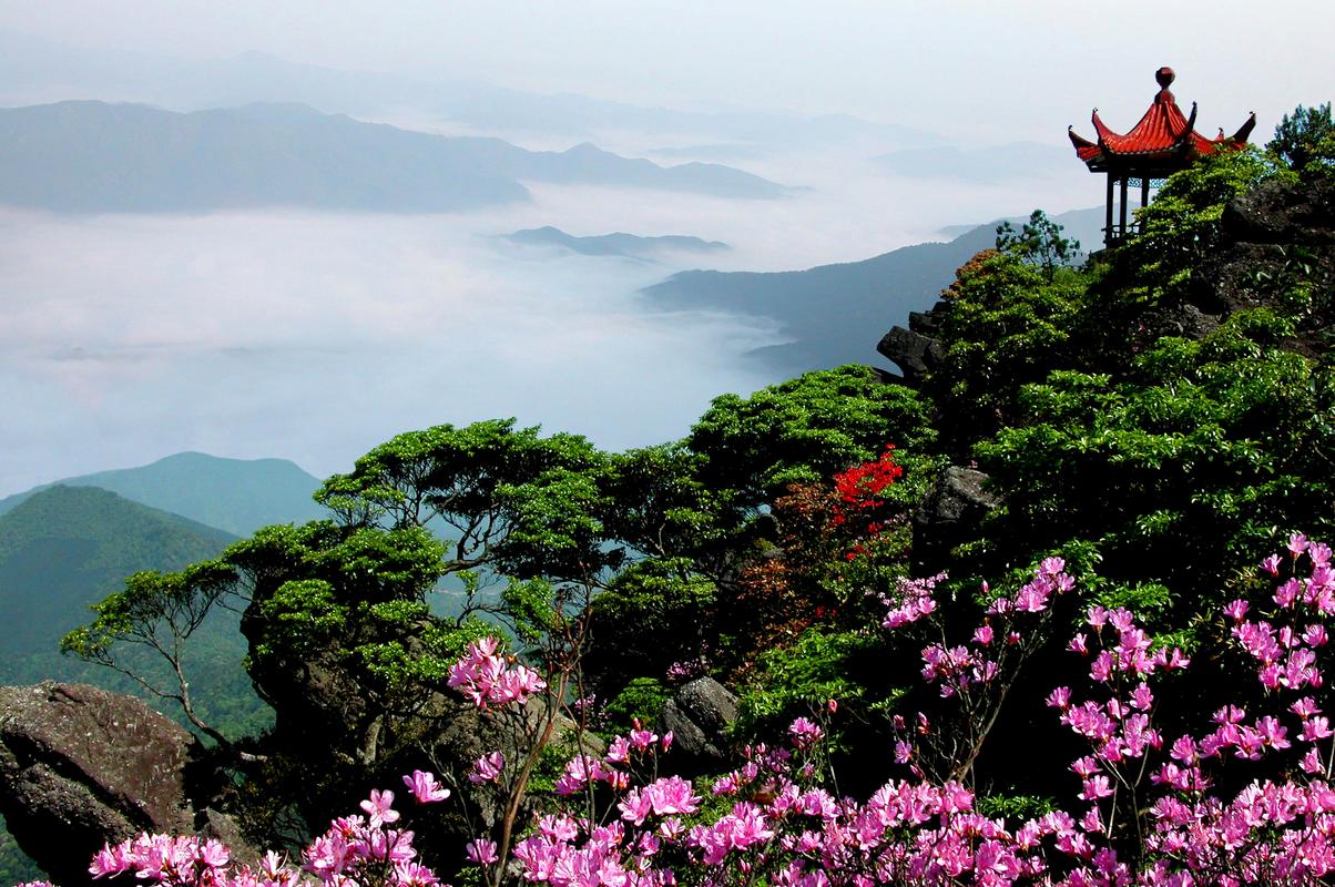 江西景点:崇义阳明山国家森林公园