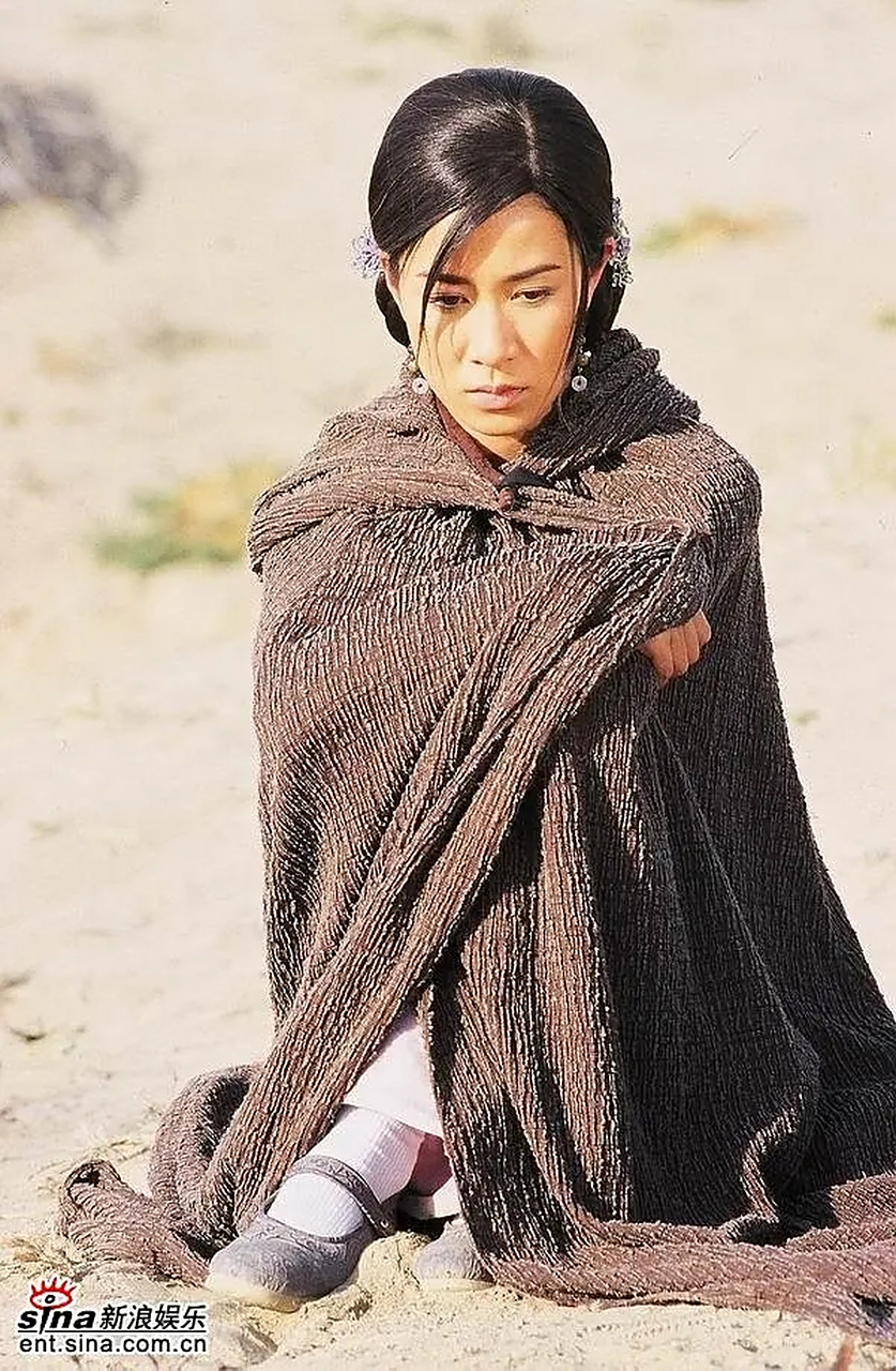 佘诗曼主演的电视剧包括《宫心计》,《使徒行者》和《火舞黄沙》.