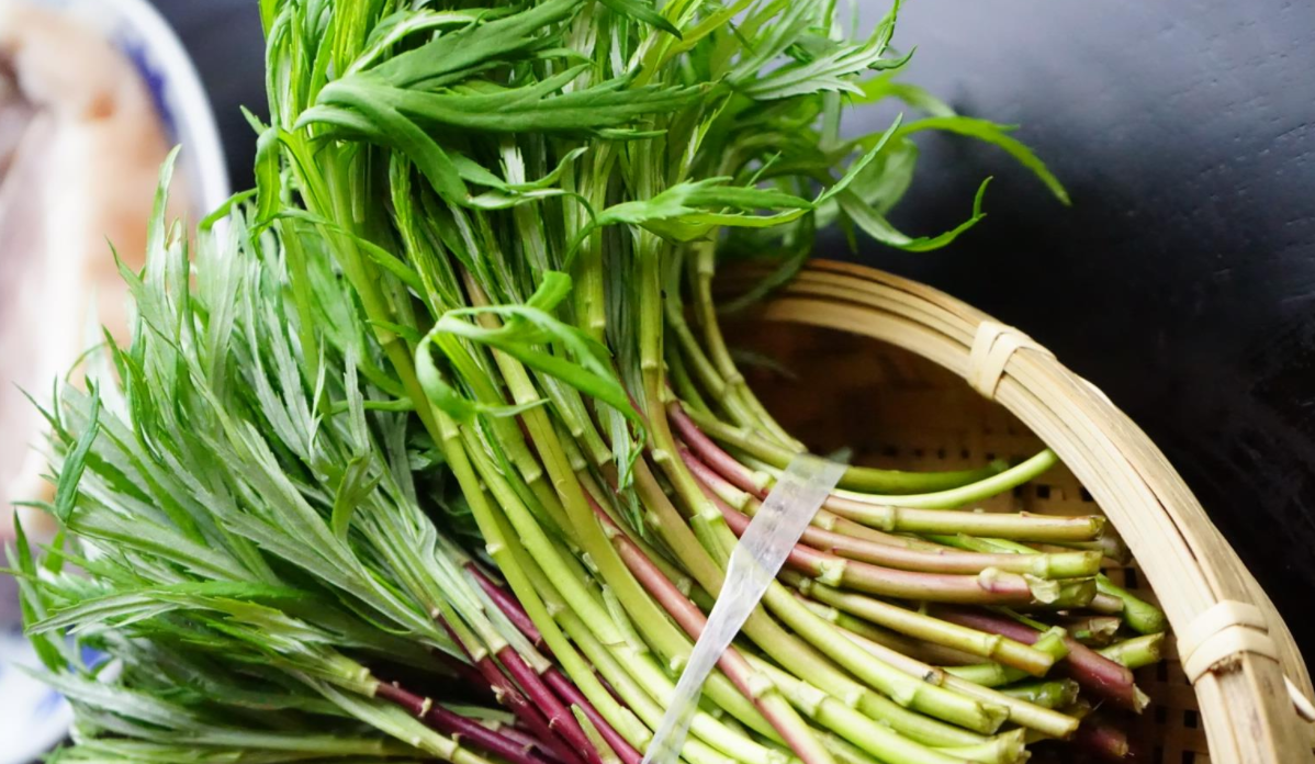 蒌蒿,又称泥蒿,芦蒿,有3大功效,价值极高,农民朋友要了解!