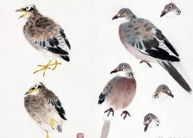 国画斑鸠学习参考稿[鲜花.@白桃平老师教国画的动态