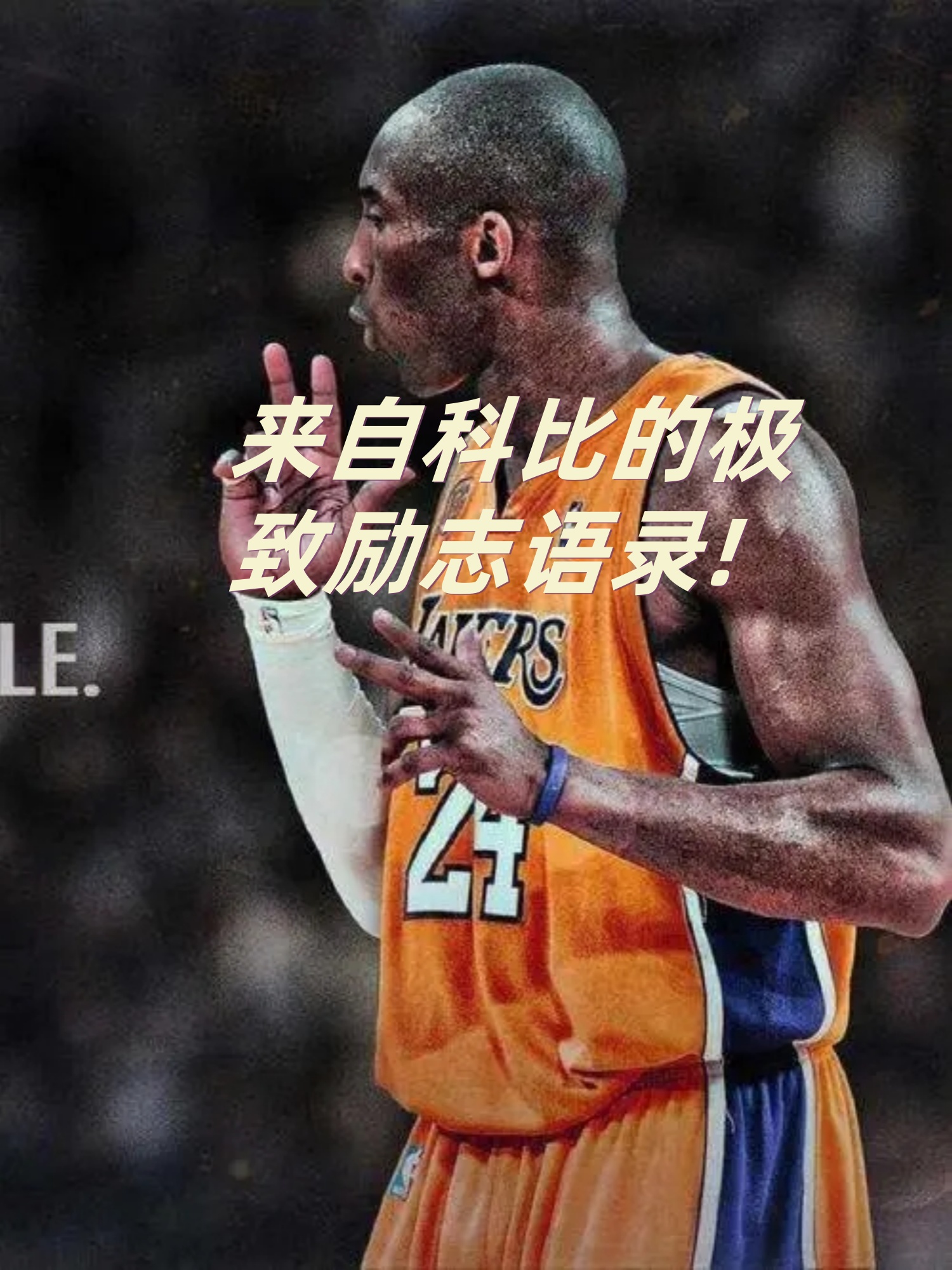 文案壁纸总有人赢为什么不是我呢科比篮球壁纸科比励志触及不到的梦想