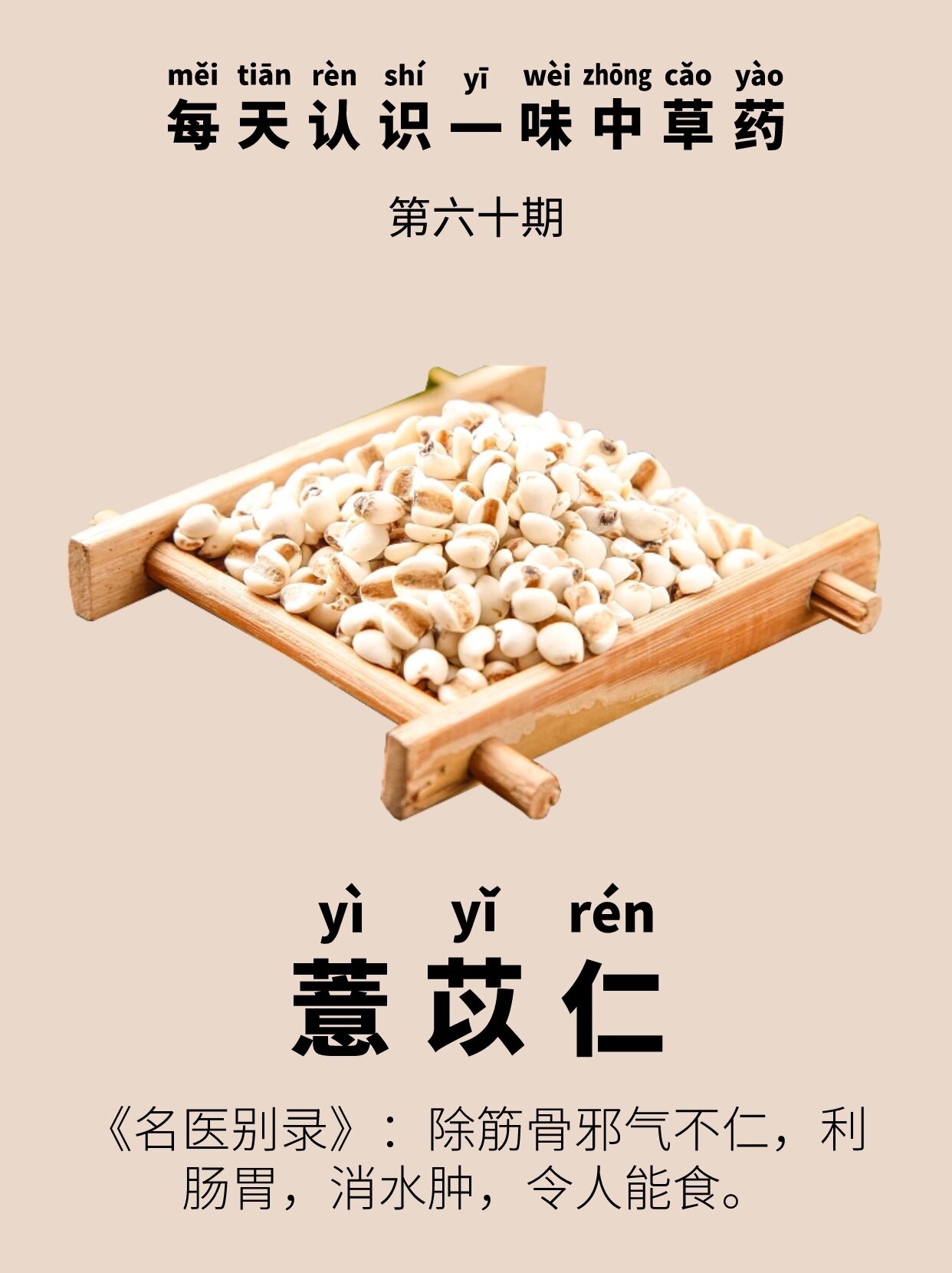 每天认识一味中草药