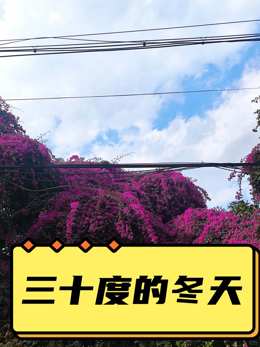 在南方,冬天湿冷湿冷的,没有暖气,全靠空调取暖.