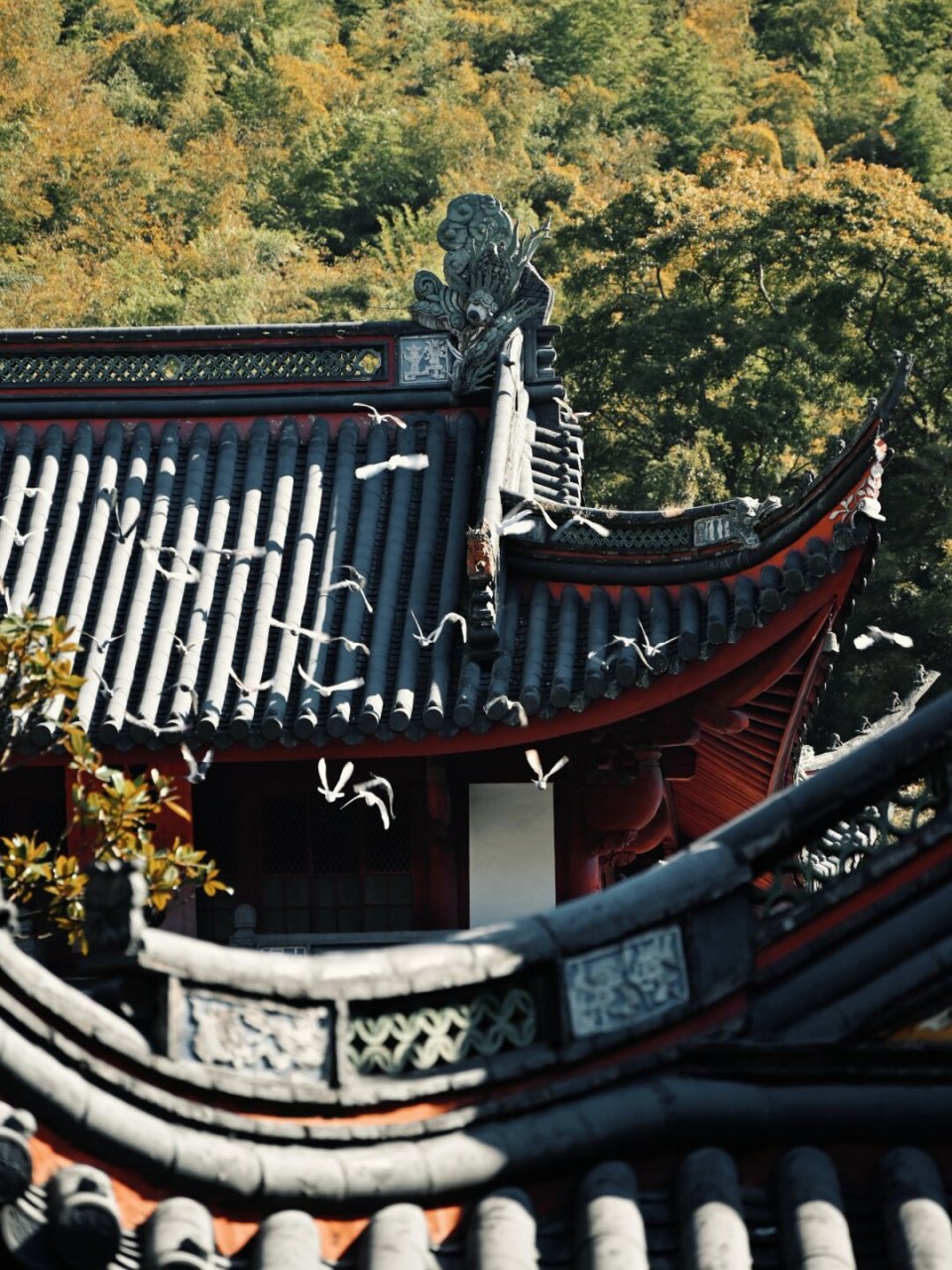 即便与灵隐寺,径山寺,阿育王寺齐名,天童寺仍能保持其独特的宁静.