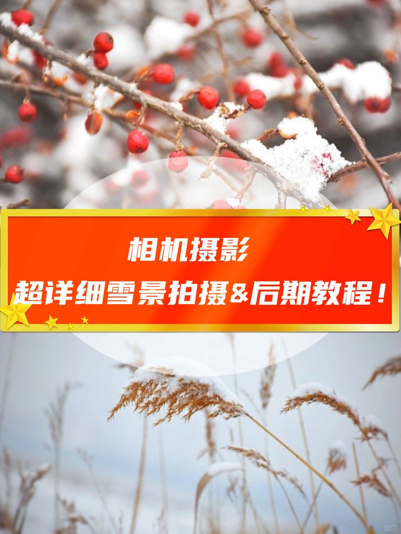 拍雪景的相机参数图片