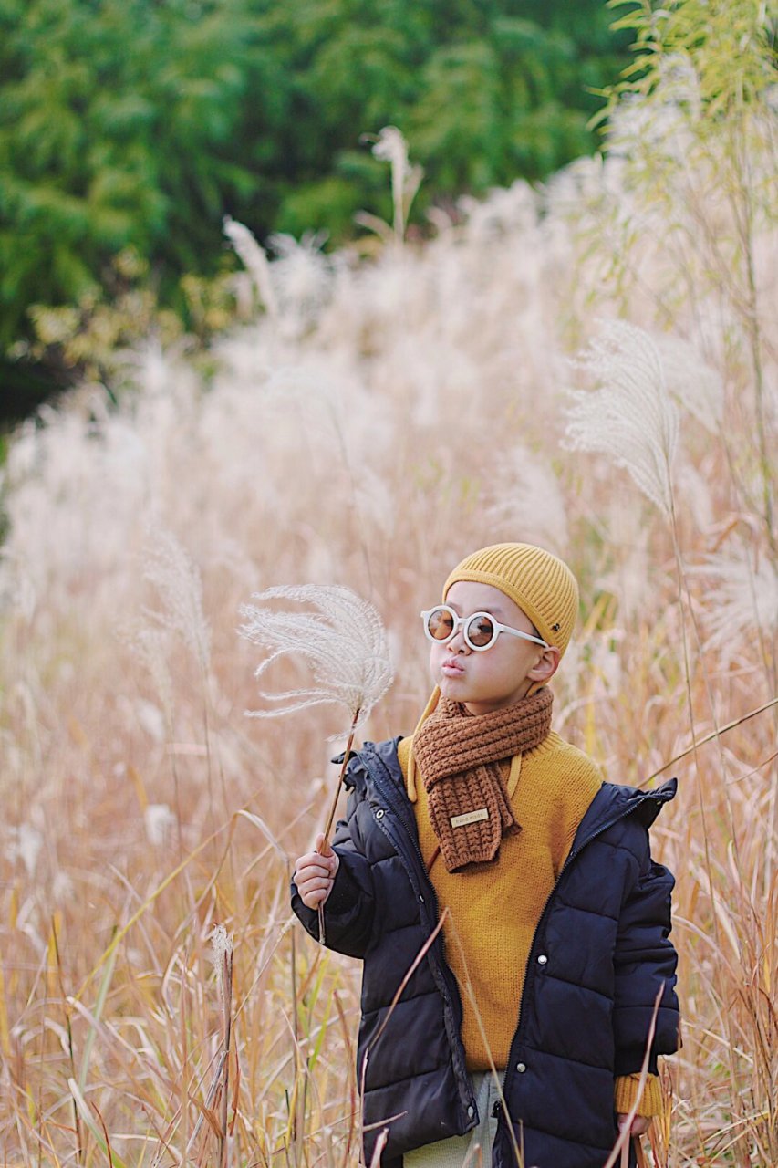 舟山小众旅行,一定要拍闪闪发光的芦苇荡  秋冬季的沈院仿佛变成了一