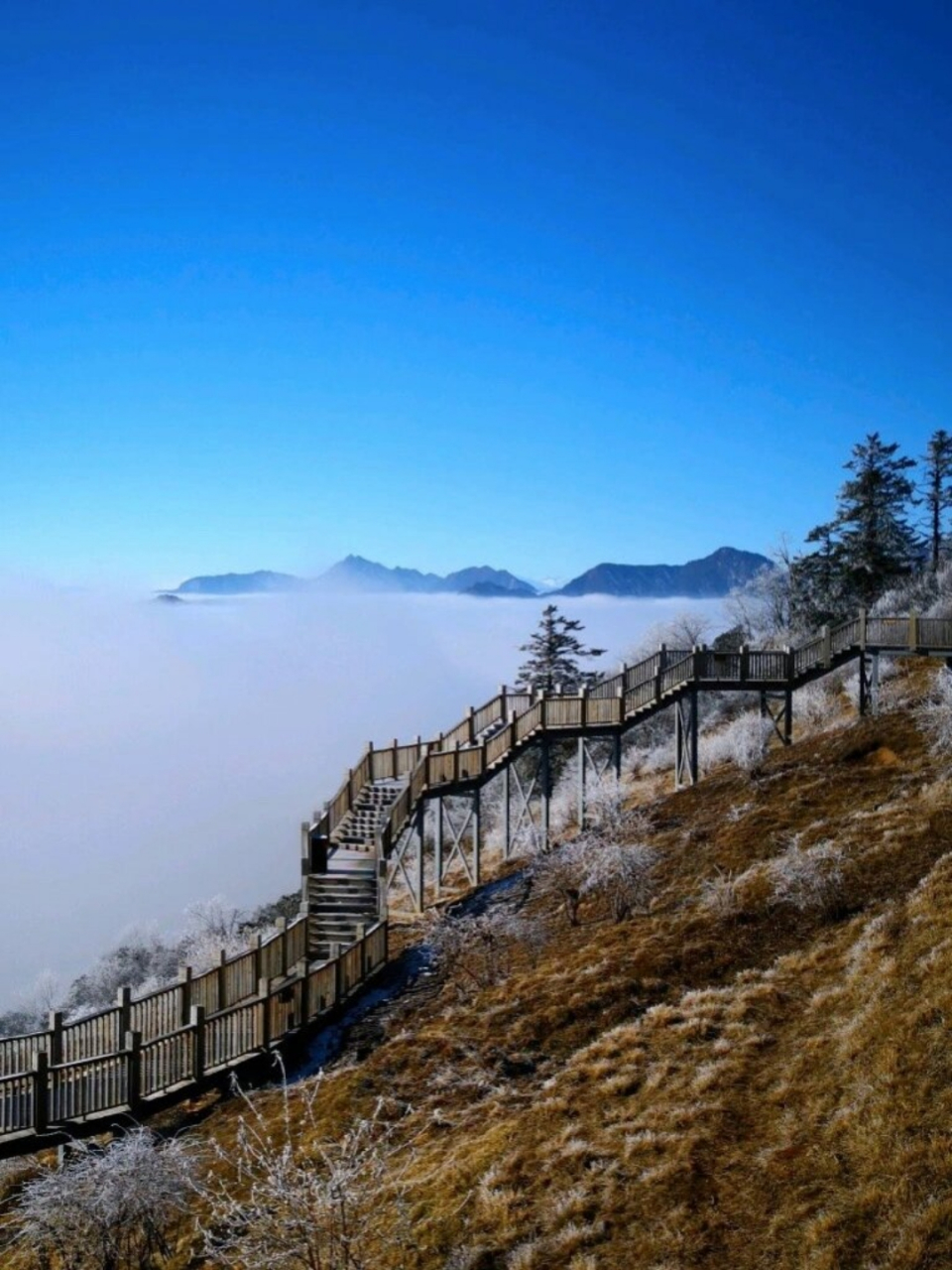 观赏雪景图片