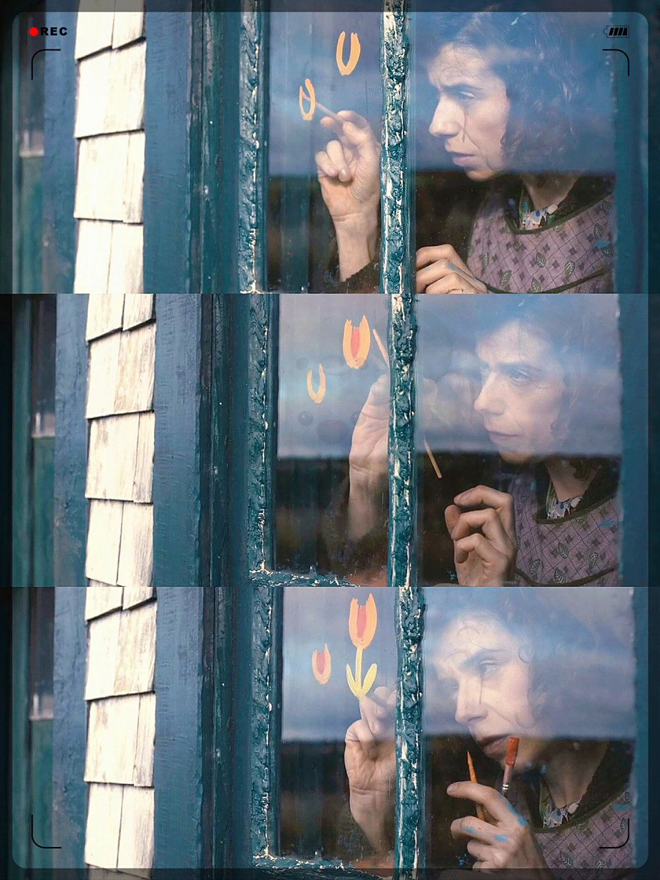 高分 近期最治愈我的电影