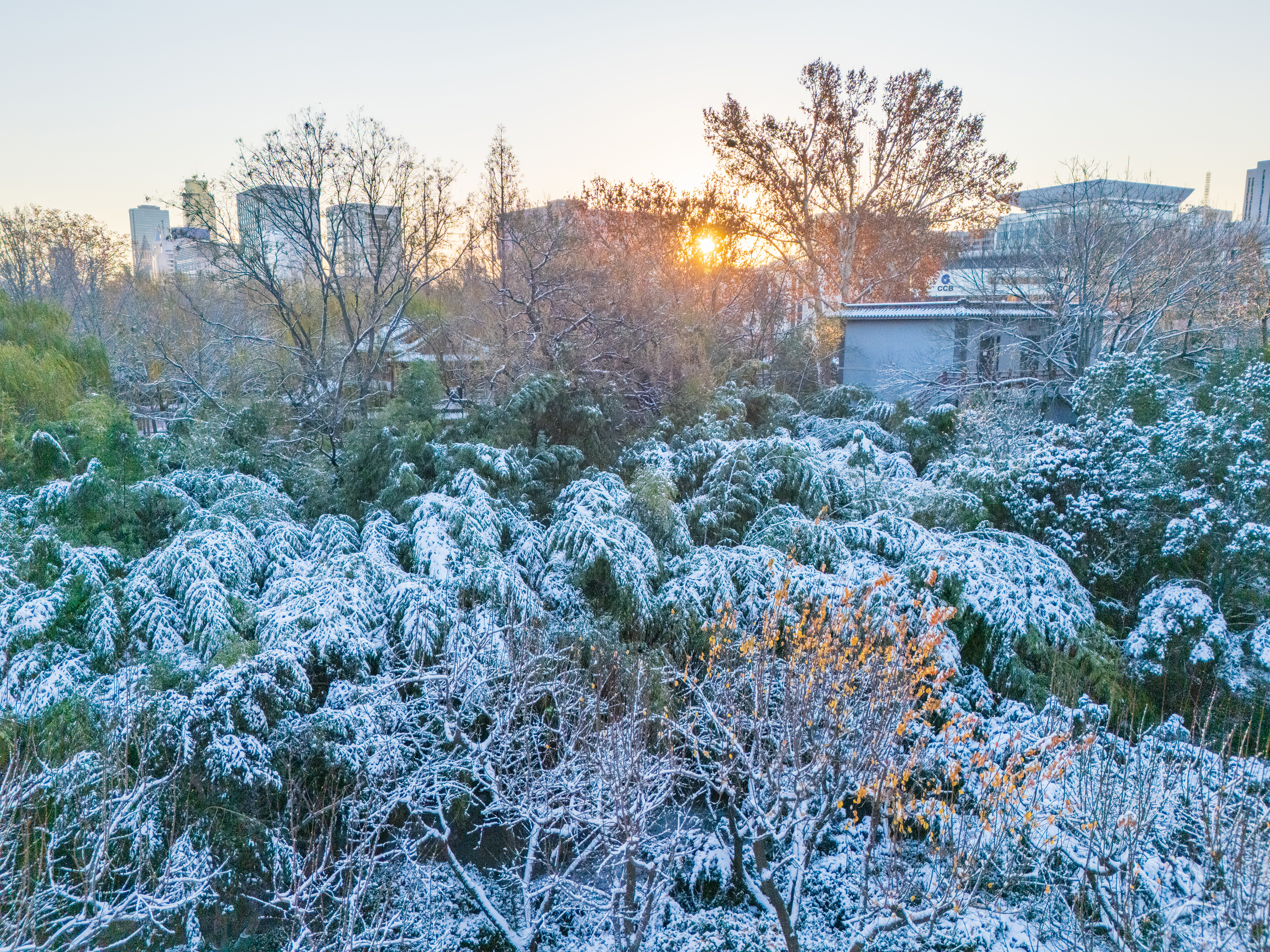 济南小雪景图片